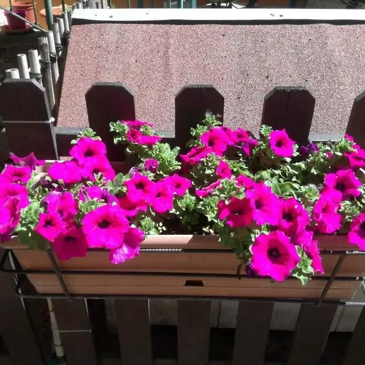 Casa Fiorita Bed & Breakfast Milan 0*,  Italy